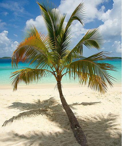 Th&aacute;m hiểm những đảo hấp dẫn nhất biển Caribe